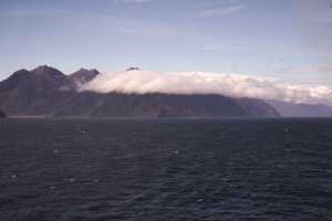 FIORDLAND-NATIONAL-PARK-2019 (193)